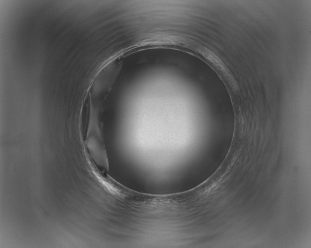 X0000073710842200608241441