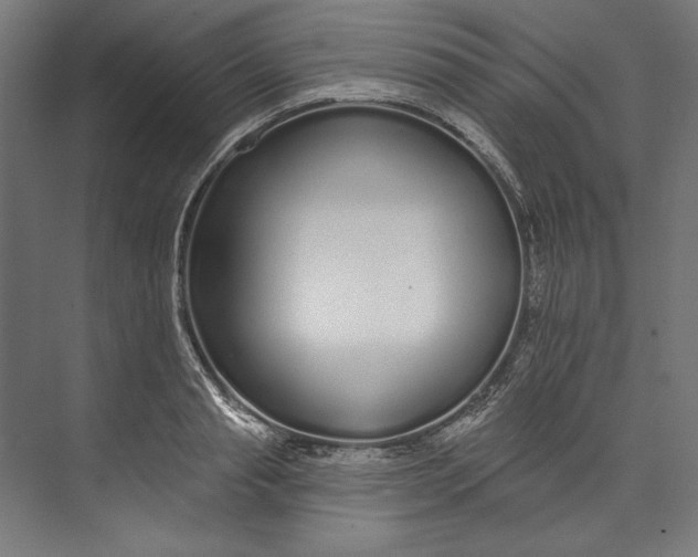 X0000073710845200608241441