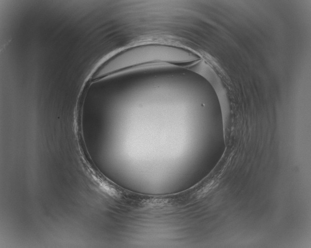 X0000073710846200608241441