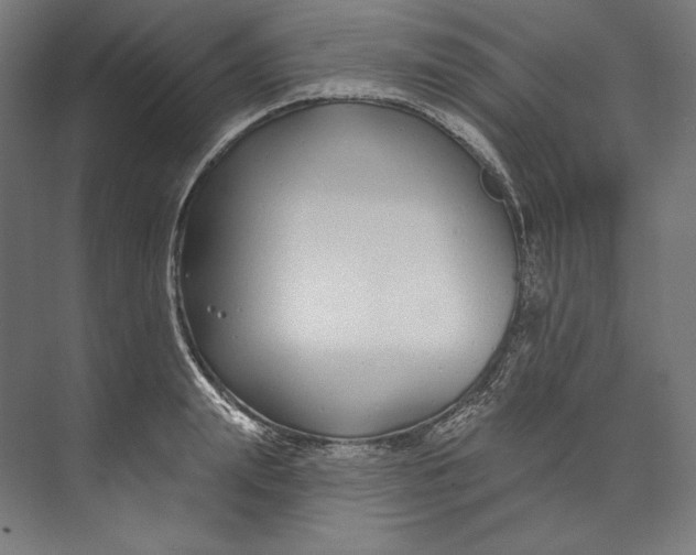 X0000073710847200608241441