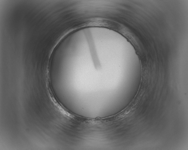 X0000073710852200608241441