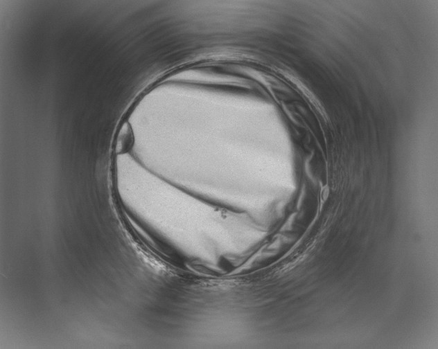 X0000073710853200608241441