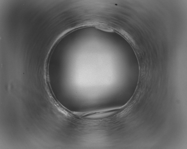 X0000073710854200608241441