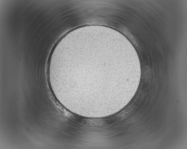 X0000073710856200608241441