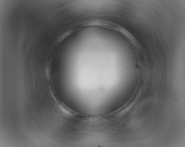 X0000073710857200608241441