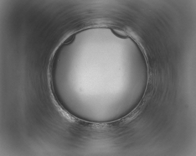 X0000073710859200608241441