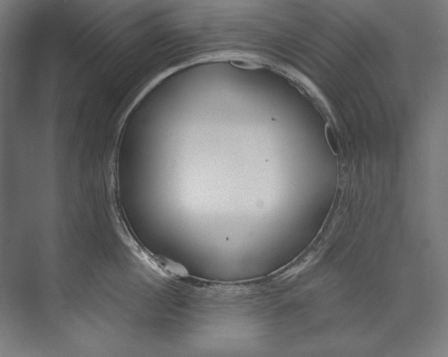 X0000073710860200608241441