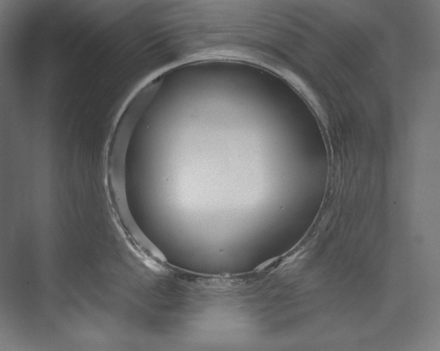 X0000073710862200608241441