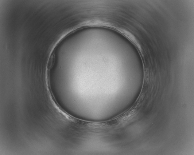 X0000073710863200608241441