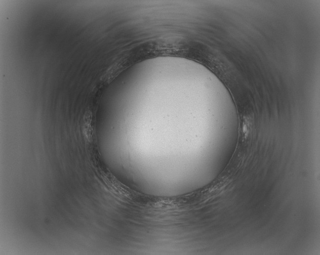 X0000073710867200608241440