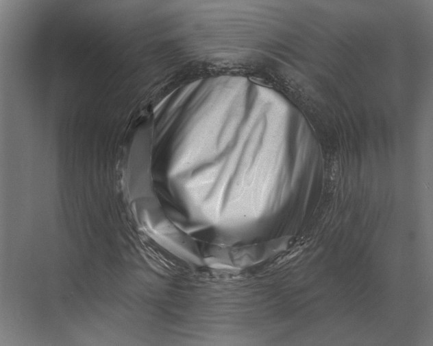 X0000073710868200608241440