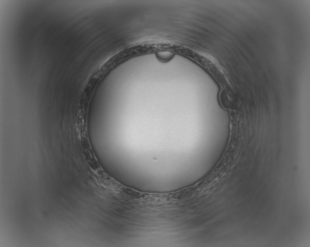 X0000073710871200608241440