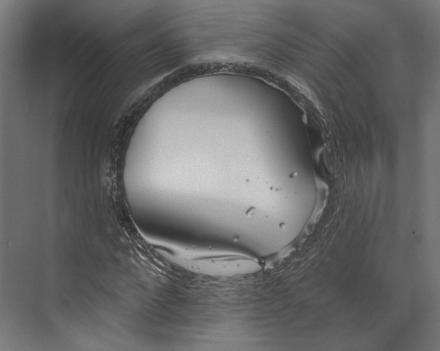 X0000073710872200608241440