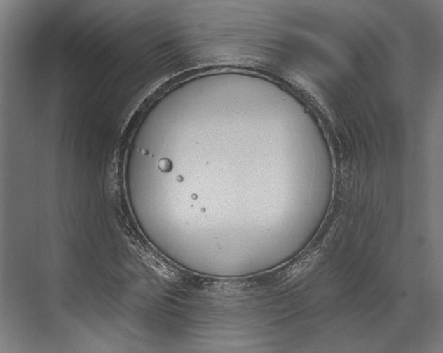 X0000073710875200608241440