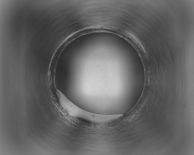 X0000073710876200608241440