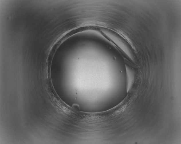 X0000073710877200608241440