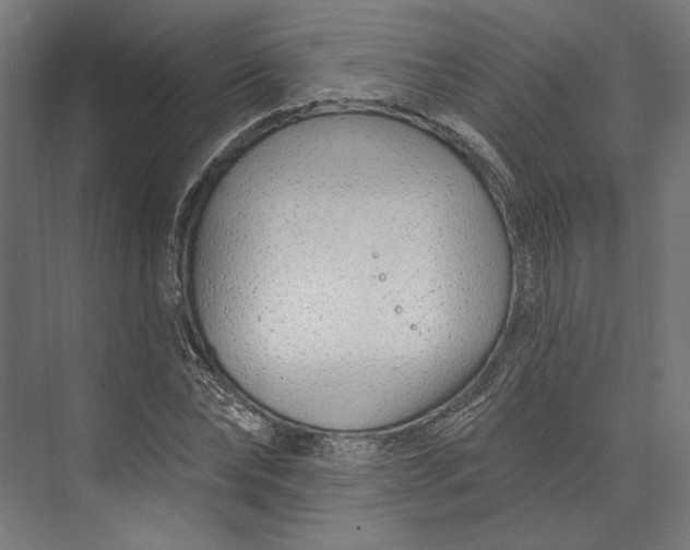 X0000073710878200608241440