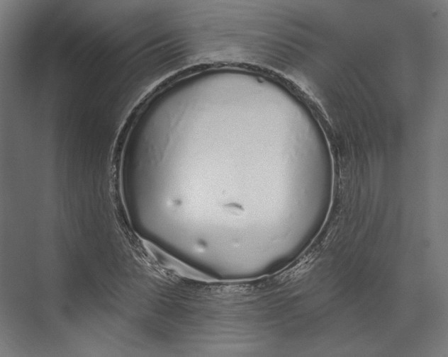 X0000073710879200608241440