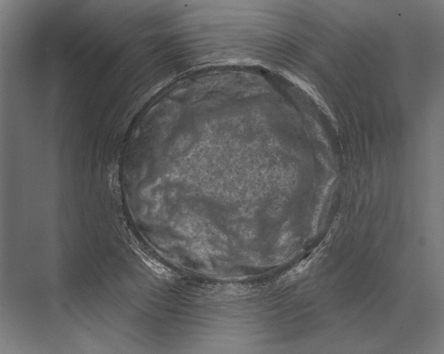 X0000073710881200608241440