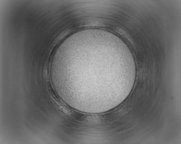 X0000073710882200608241440