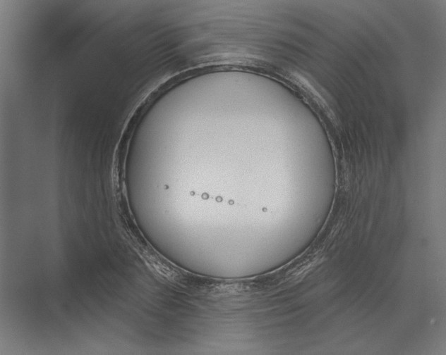 X0000073710883200608241440