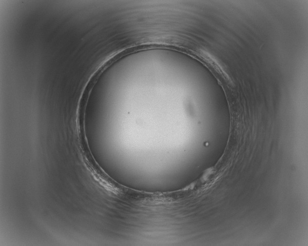 X0000073710884200608241440