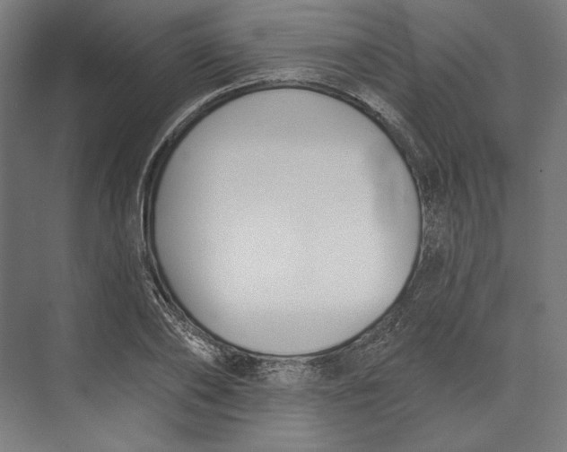 X0000073710886200608241440