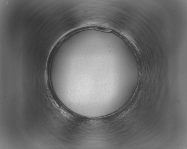 X0000073710888200608241440