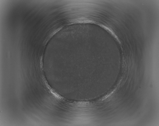 X0000073710889200608241440