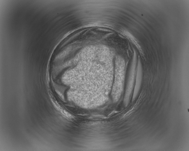 X0000073710892200608241440