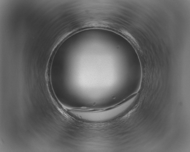 X0000073710893200608241440