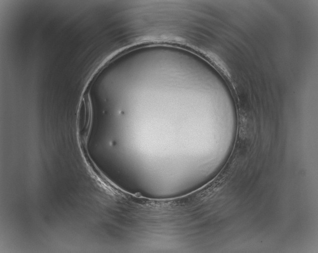 X0000073710895200608241440