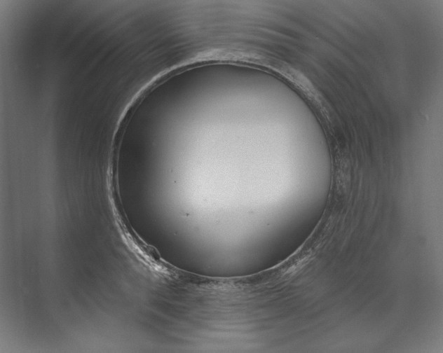 X0000073710896200608241440