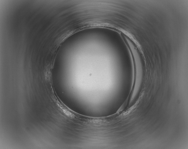 X0000073710897200608241440