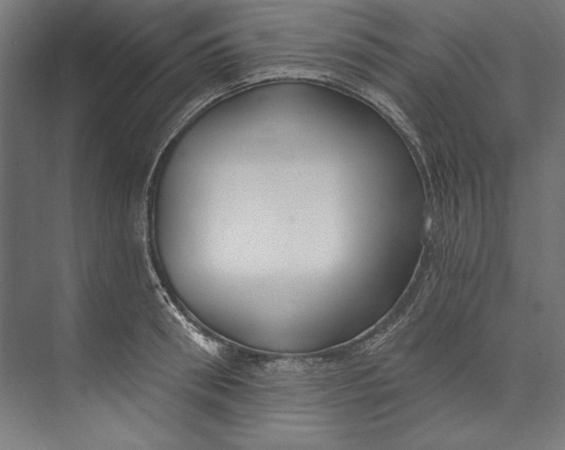 X0000073710898200608241440