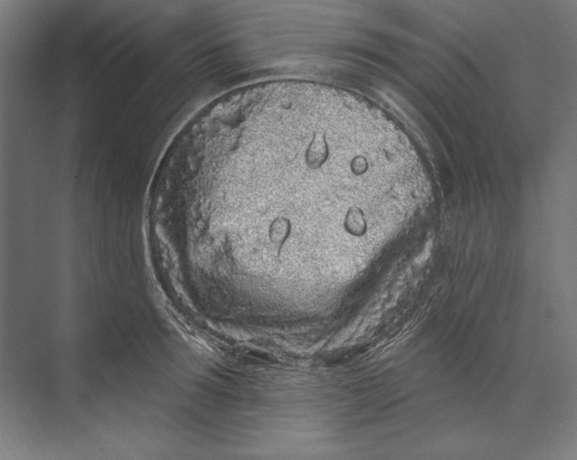 X0000073710899200608241440