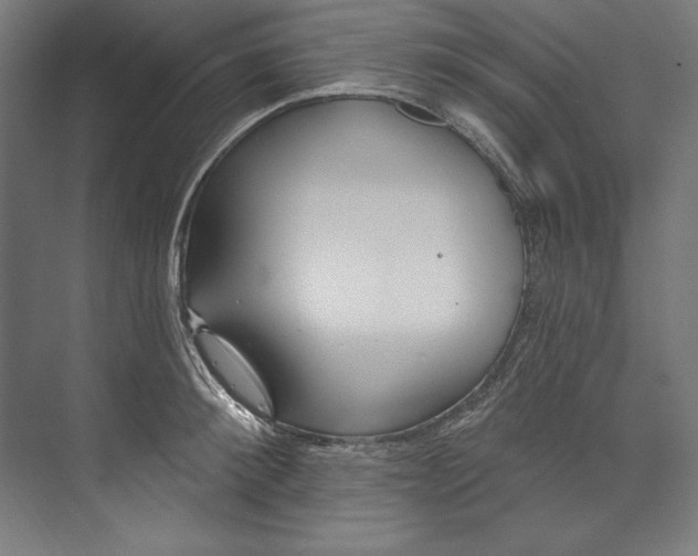 X0000073710900200608241440