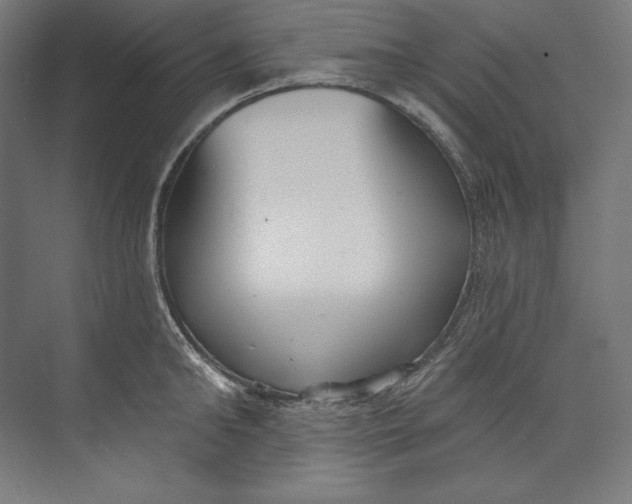 X0000073710902200608241440