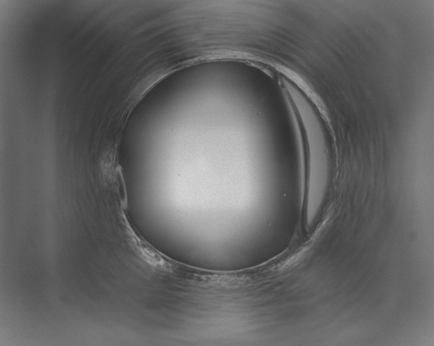 X0000073710905200608241440