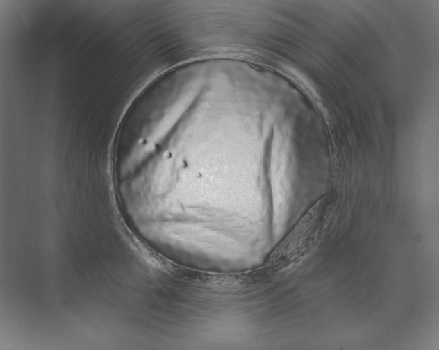 X0000073710907200608241440