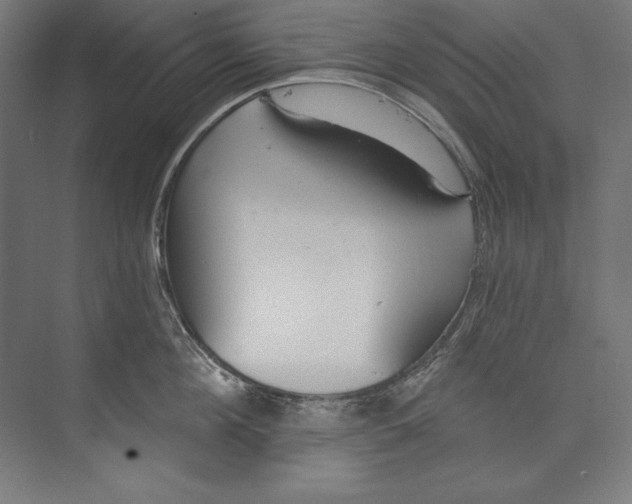 X0000073710908200608241440