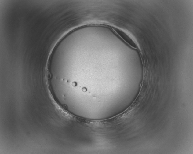 X0000073710911200608241440