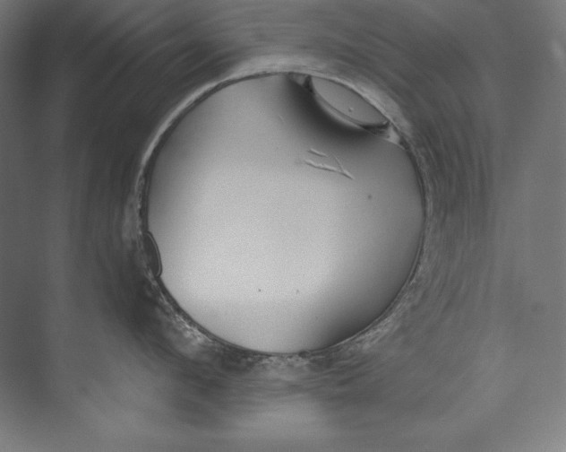 X0000073710912200608241440