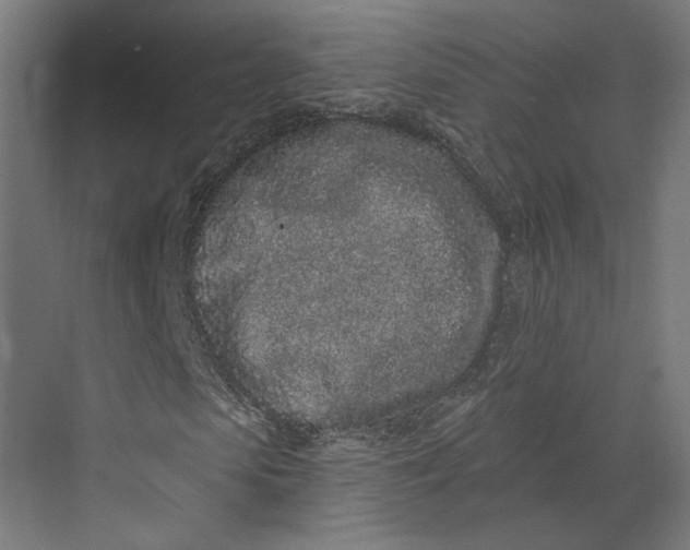 X0000073710913200608241439