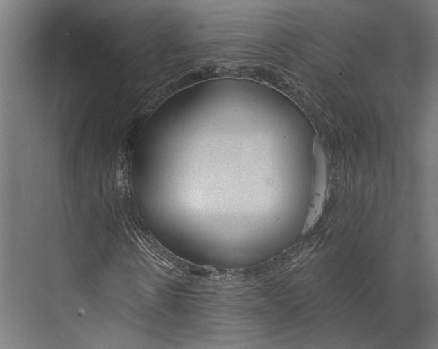 X0000073710914200608241439