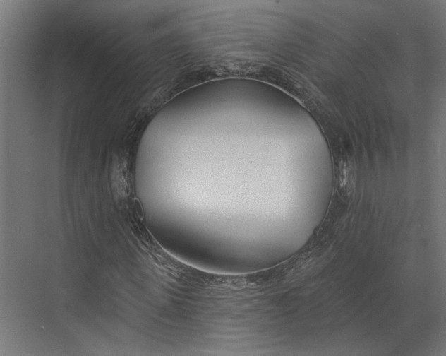 X0000073710915200608241439