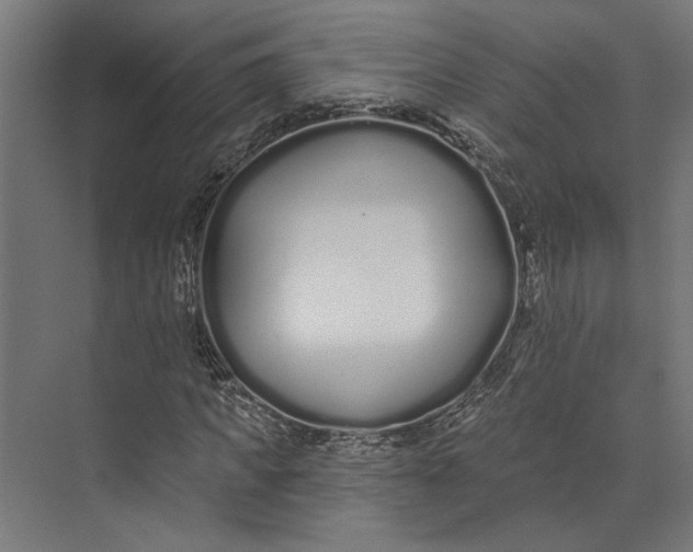 X0000073710917200608241439