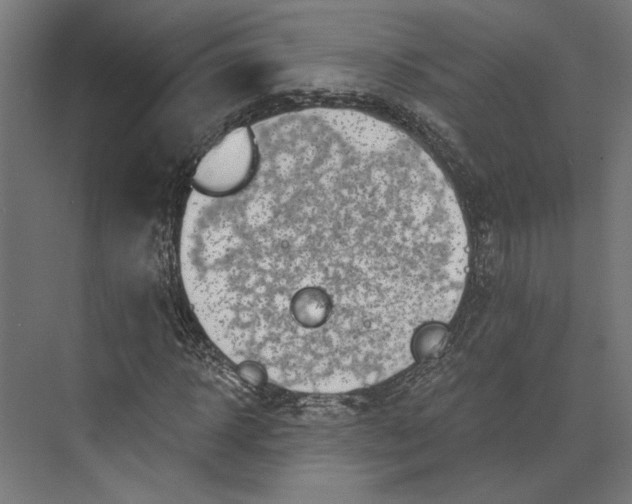 X0000073710918200608241439