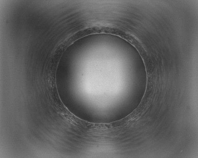 X0000073710919200608241439