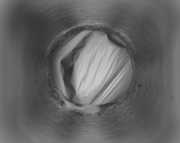 X0000073710920200608241439